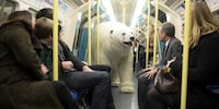 Animal Underground Commuters Image 5