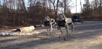 Kickable Robotic Dogs Image 2