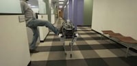 Kickable Robotic Dogs Image 4