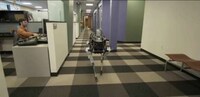 Kickable Robotic Dogs Image 5