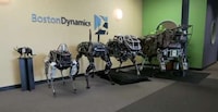 Kickable Robotic Dogs Image 6