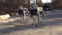 Kickable Robotic Dogs Image 7