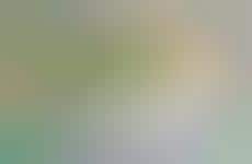 Emboldening Beer Ads