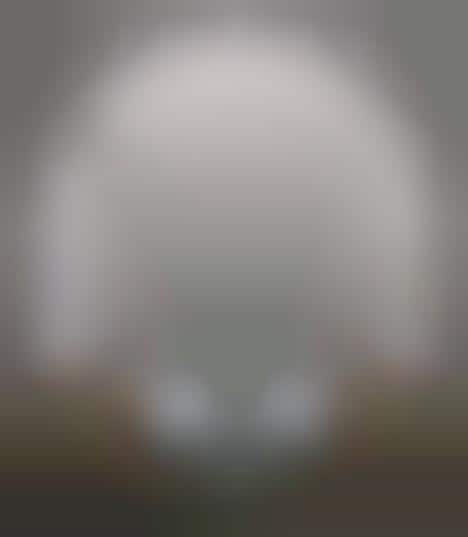 Forest Shrouded Crematoriums