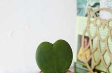 Heart-Shaped Cacti