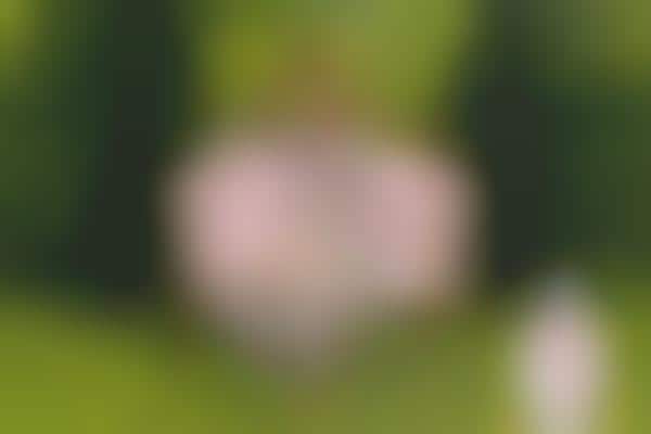 Botanical Fragrance Marketing