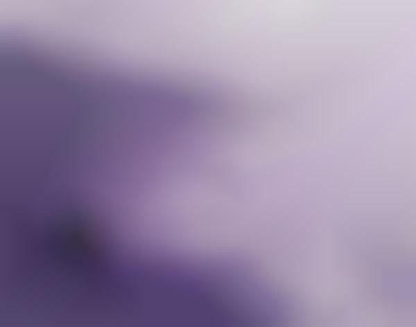 Monochromatic Landscape Art