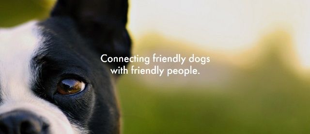 Pet Rental Services