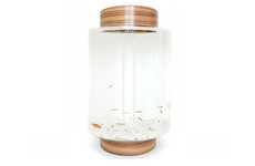 3D-Printed Fish Tanks