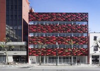 Colorful Woven Facades Image 6