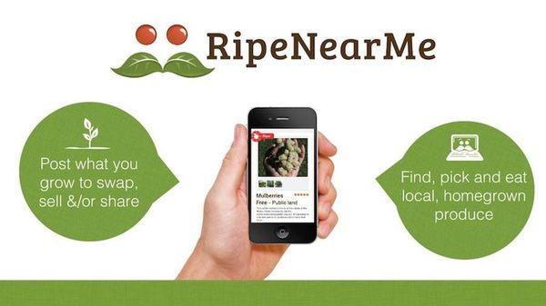 26 Examples of Healthy Food Apps