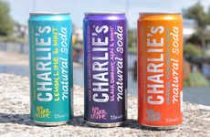 16 Examples of Healthy Carbonated Beverages