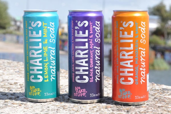 16 Examples of Healthy Carbonated Beverages