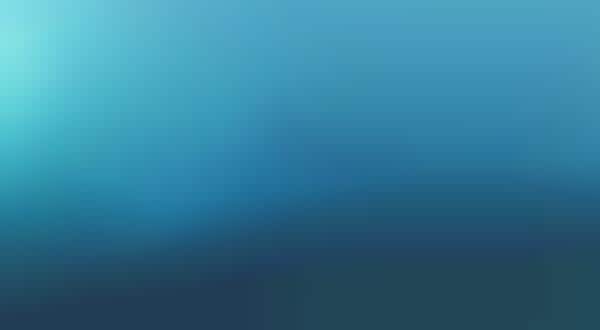 Virtual Shark Swims