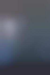 Pack Animal Racks : animal rack