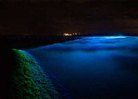 Northern Lights Installations Image 3