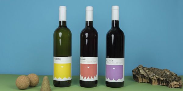 100 Innovative Wine Packages