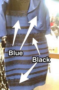 Viral Dress Colors Image 2