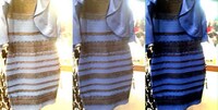 Viral Dress Colors Image 3