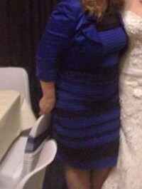 Viral Dress Colors Image 4