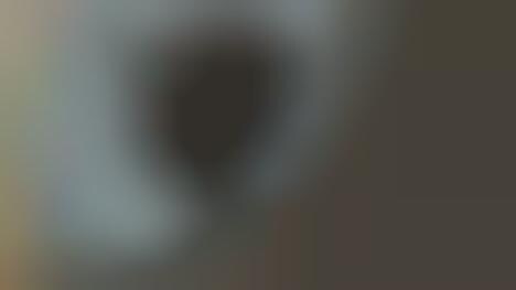 Martian Rover Selfies