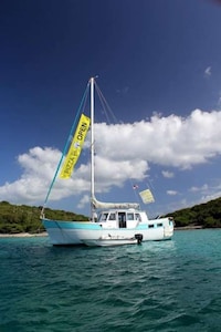 Floating Pizzerias Image 7