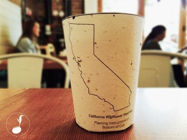 Plantable Coffee Containers