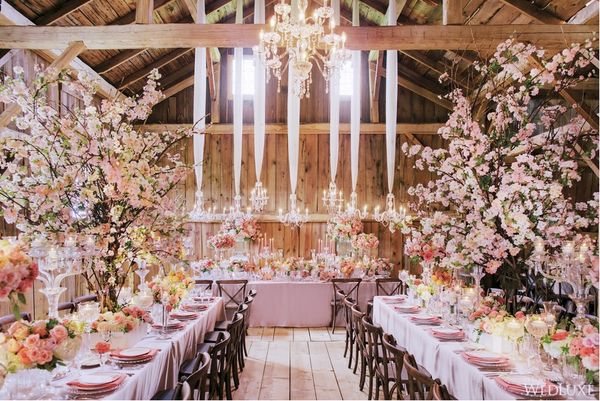 43 Extravagant Wedding Innovations