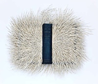 Sprawling Paper Sculptures Image 3