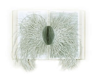 Sprawling Paper Sculptures Image 6