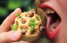 Self-Sprouting Mushroom Snacks