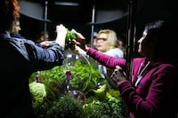 Multi-Sensory Food Labs Image 3