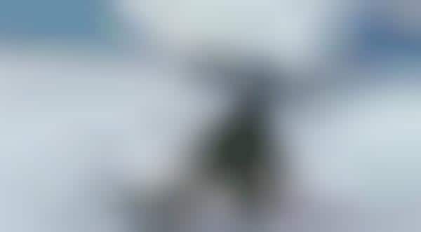 Mountainside VR Videos