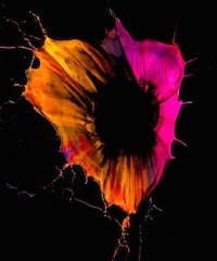 Paint-Splattered Flower Depictions Image 2
