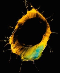 Paint-Splattered Flower Depictions Image 3