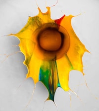 Paint-Splattered Flower Depictions Image 8