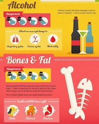 Unsafe Food Guides Image 3