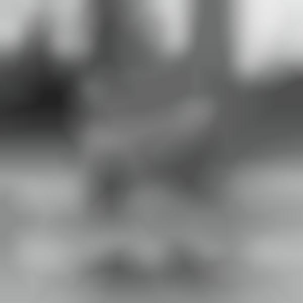 Crowdfunded Skateparks