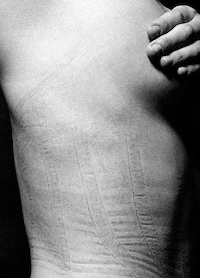 Imprinted Bodily Photography Image 8