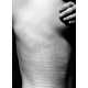 Imprinted Bodily Photography Image 8