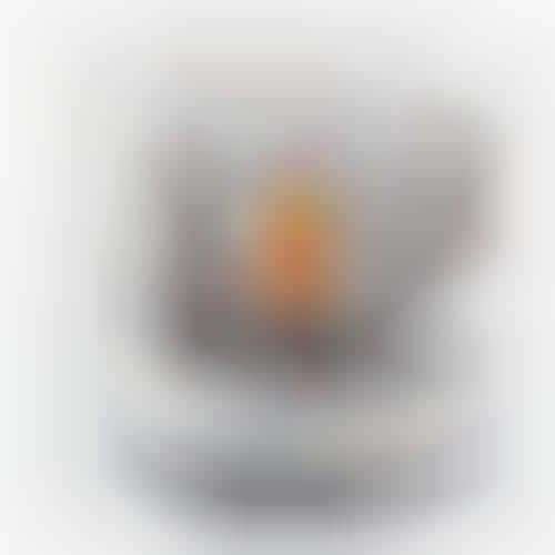 Baby Food Processors
