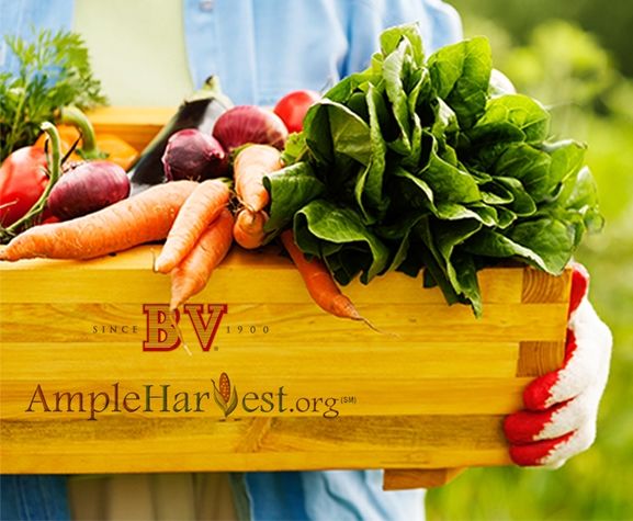 Produce-Sharing Communities