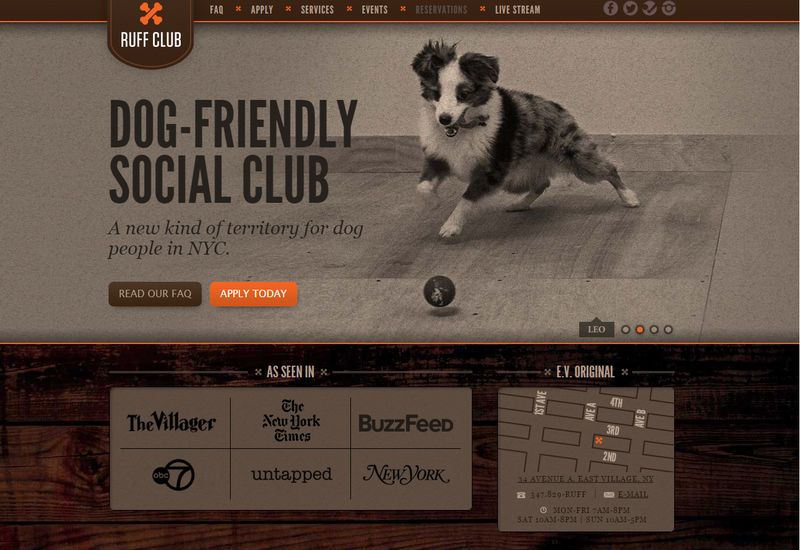 Dog-Friendly Social Clubs