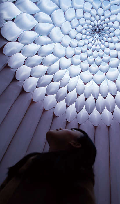 Botanical Paper Pods : paper sculpture