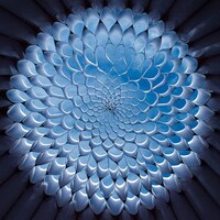 Botanical Paper Pods Image 2