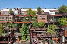 Tree-Covered Apartments