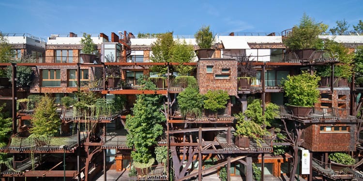 Tree-Covered Apartments