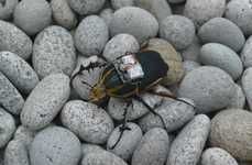 Remote-Controlled Beetles
