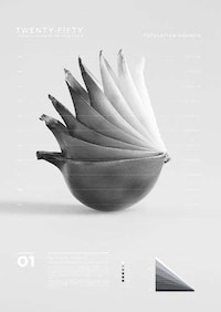 Grayscale Data Visualizations Image 2