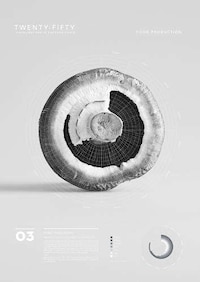 Grayscale Data Visualizations Image 4